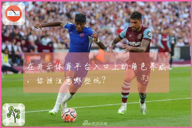 在开云体育平台入口上的角色养成，你该注意哪些坑？